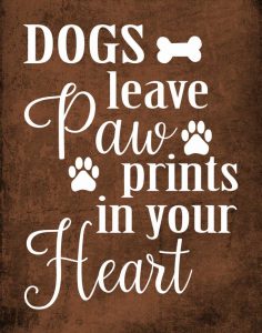 Dog Paw Prints