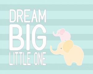 Dream Big Little One II