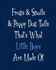 Frogs and Snails and Puppy Dog Tails