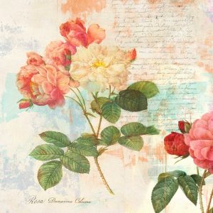 Redoutes Roses 2.0 – I 