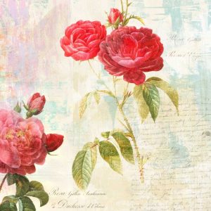 Redoutes Roses 2.0 – II 