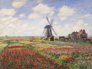 Tulip Fields with Windmill
