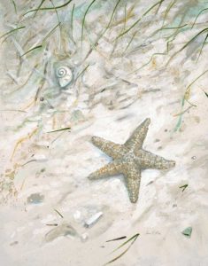Seaside Starfish