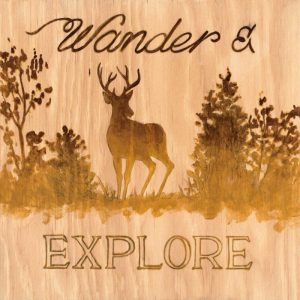 Wander and Explore
