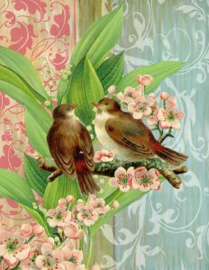 Finches and Blossoms