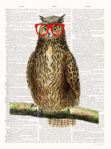 Studious Owl