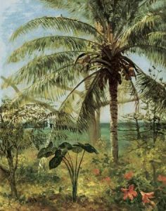 Palm Tree, Nassau 1892