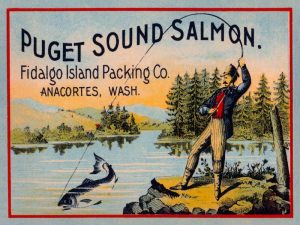 Puget Sound Salmon – On the Fly