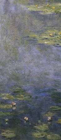 Water Lilies (Nympheas) IV (center)