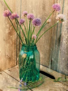 Country Chives