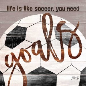 Soccer Goals