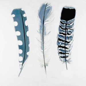 Delicate Blue Feathers
