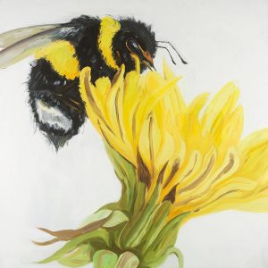 Bumblebee on a Dandelion