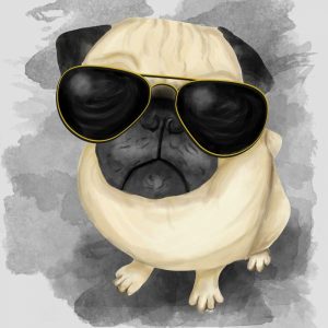 Pug with Sunglasses