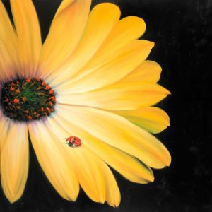 Yellow Daisy and Ladybug