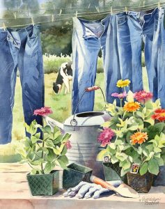 Blue jeans, Zinnias and Cow