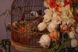 Flowers and Bird Cage II
