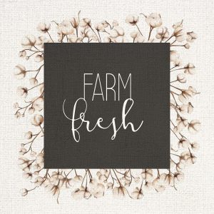 Farm Fresh Cotton