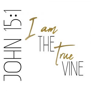 I am the True Vine Square