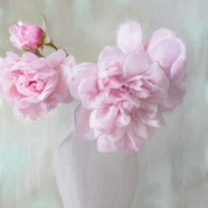 Vase of Pink