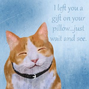 Pillow Gifts 1
