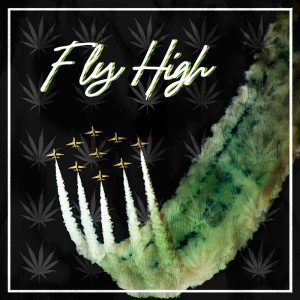 Fly High 1