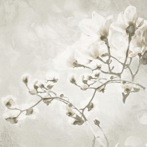 Cream Tree of White Flowers 1