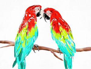 Fun Parrots