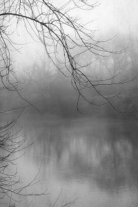 Misty Pond 1 BW