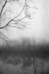 Misty Pond 2 BW