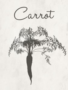 Carrot Farm Botanical