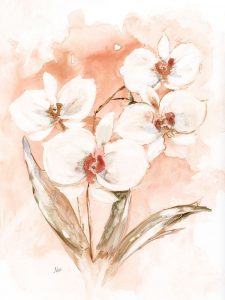 White and Coral Orchid I