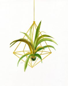 Hanging Airplant I