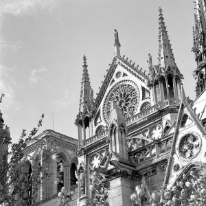 Shining Star of Paris – Notre Dame