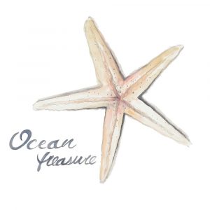 Ocean Treasure Starfish