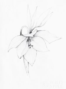 Graphite Floral III