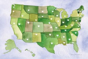 USA Capital Map