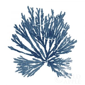 Pacific Sea Mosses Blue on White II