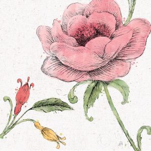 Blossom Sketches II Color