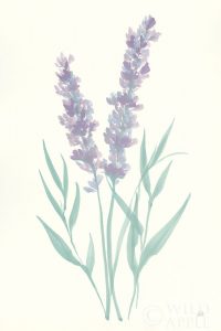 Lavender I