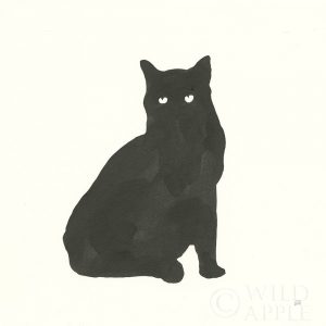 Black Cat V