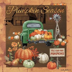 Pumpkin Season V
