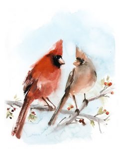 Cardinal Couple