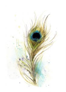 Peacock Feather I
