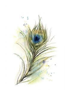 Peacock Feather II