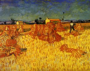 Harvest In Provence