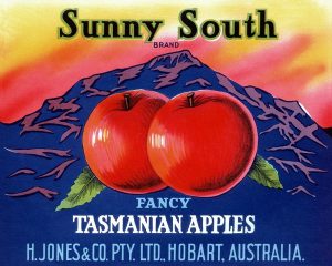 Sunny South Tasmanian Apples