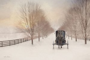 Snowy Amish Lane