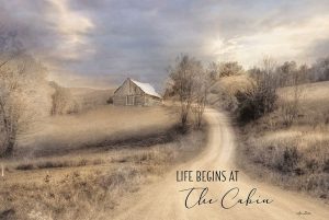 Life Begins at the Cabin