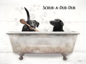 Scrub-a-Dub-Dub
